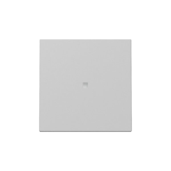 Gira Wippe Kontrollf. Grau m 3290015